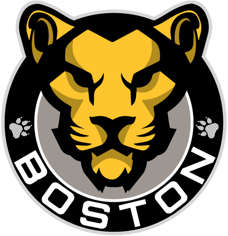 Boston Pride 2017-Pres Primary Logo iron on heat transfer